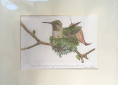 thumbnail_LeVine_hummingbird_print
