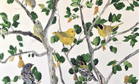 Warblers in an Oak Tree